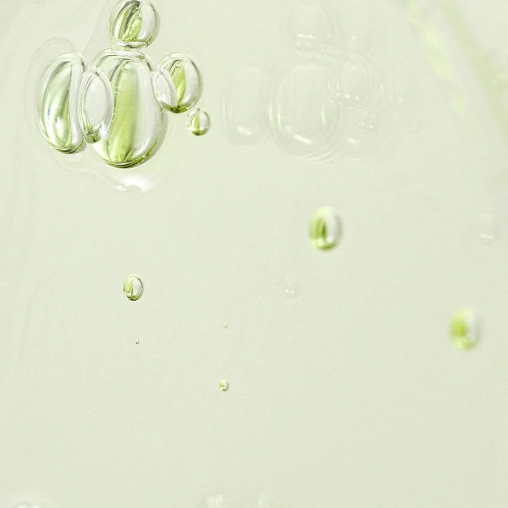 Beauty Of Joseon Green Tea Panthenol Calming Serum 30ml-Dermatological Serum-Beauty and hair supply