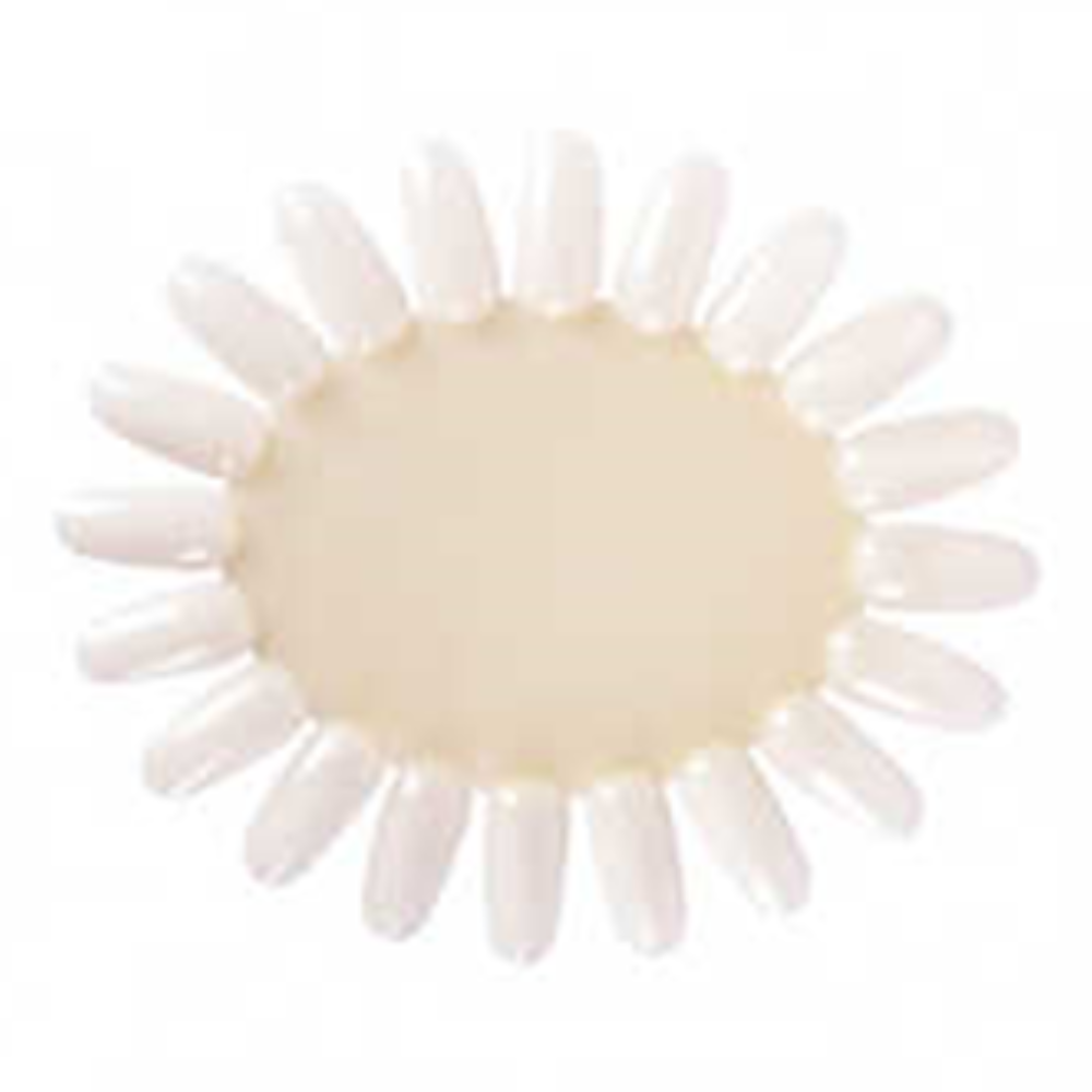 Bifull Nail Swatch 3 Units-Nail Swatch-Beauty and hair supply