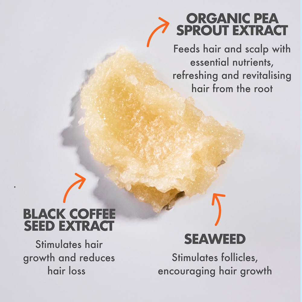 Umberto Giannini Grow Scrub Scalp Scrub 250g-Scalp Scrub-Beauty and hair supply