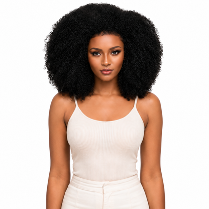 Darbro Doja Synthetic Afro Kinky Bulk 24"