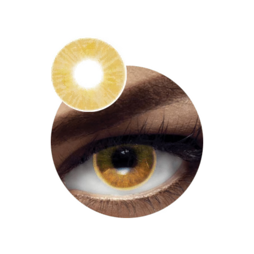 Vital Premium Contact Lens DIA.14.0mm BC.8.6mm