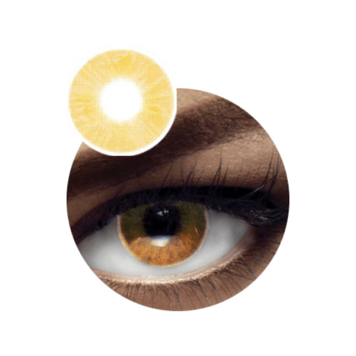 Vital Premium Contact Lens DIA.14.0mm BC.8.6mm