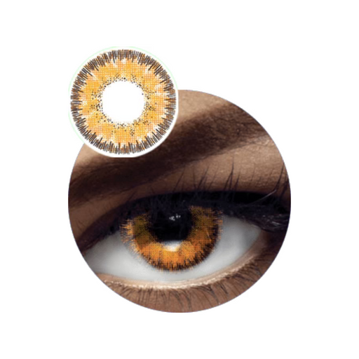 Vital Premium Contact Lens DIA.14.0mm BC.8.6mm