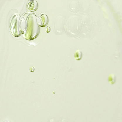 Beauty Of Joseon Green Tea Panthenol Calming Serum 30ml-Dermatological Serum-Beauty and hair supply