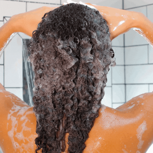 Bounce Curl Pure Silk Moisturizing Shampoo 238ml-Moisturizing Shampoo-Beauty and hair supply