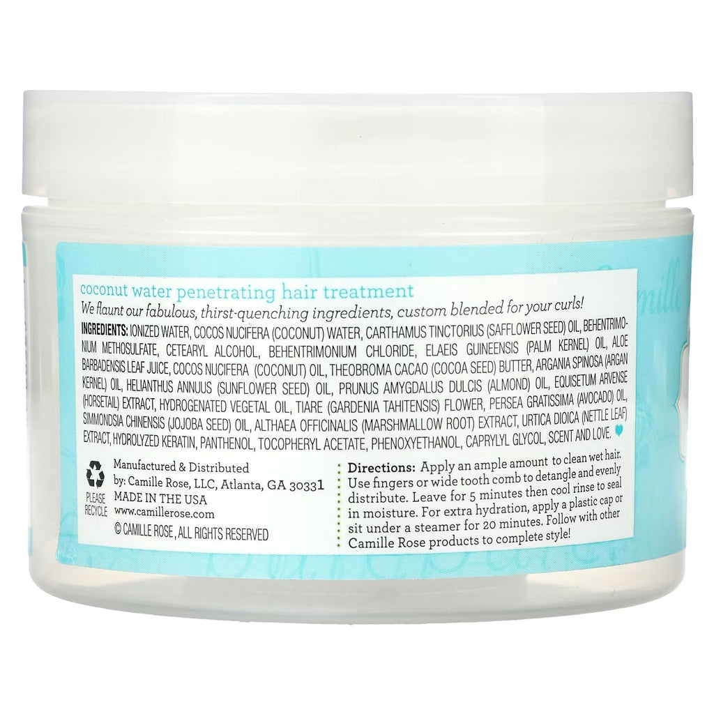 Camille Rose Coconut Water Penetrating Hair Treatment 240g-Treatment-Beauty and hair supply