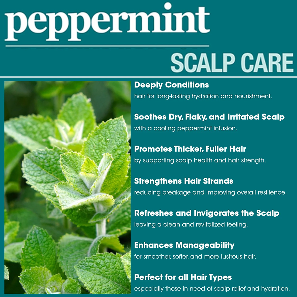 Difeel Peppermint Scalp Care Conditioner 12oz-All-Beauty and hair supply