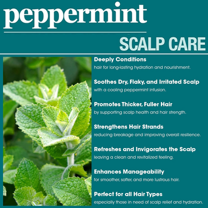 Difeel Peppermint Scalp Care Conditioner 12oz-All-Beauty and hair supply