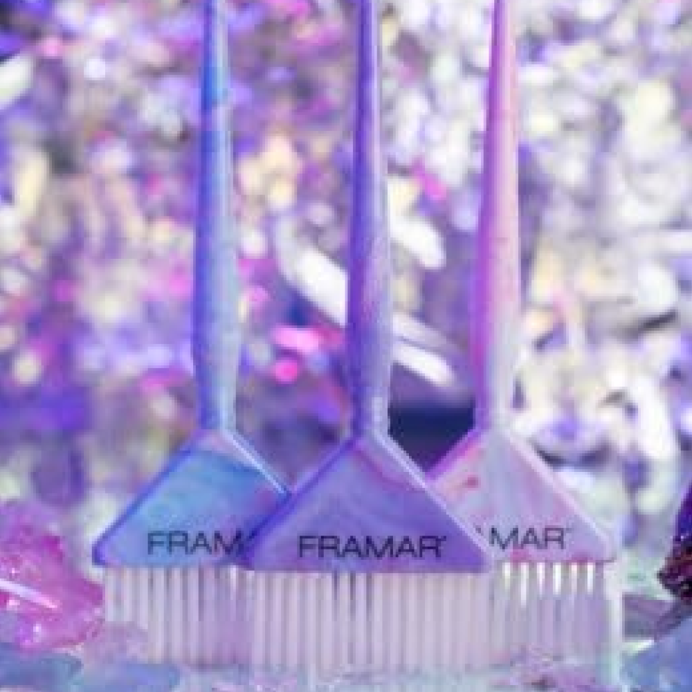 Framar Big Daddy Brush Set-Hair Color Brush-Beauty and hair supply