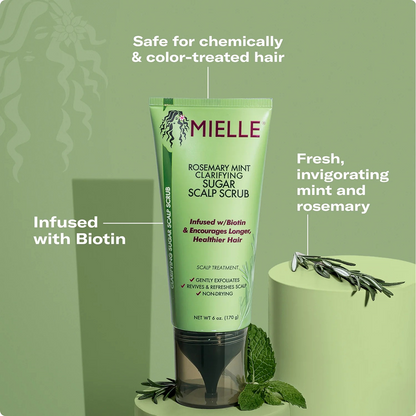 Mielle Rosemary Mint Strengthening Sugar Scalp Scrub 6oz-Pre-Shampoo-Beauty and hair supply