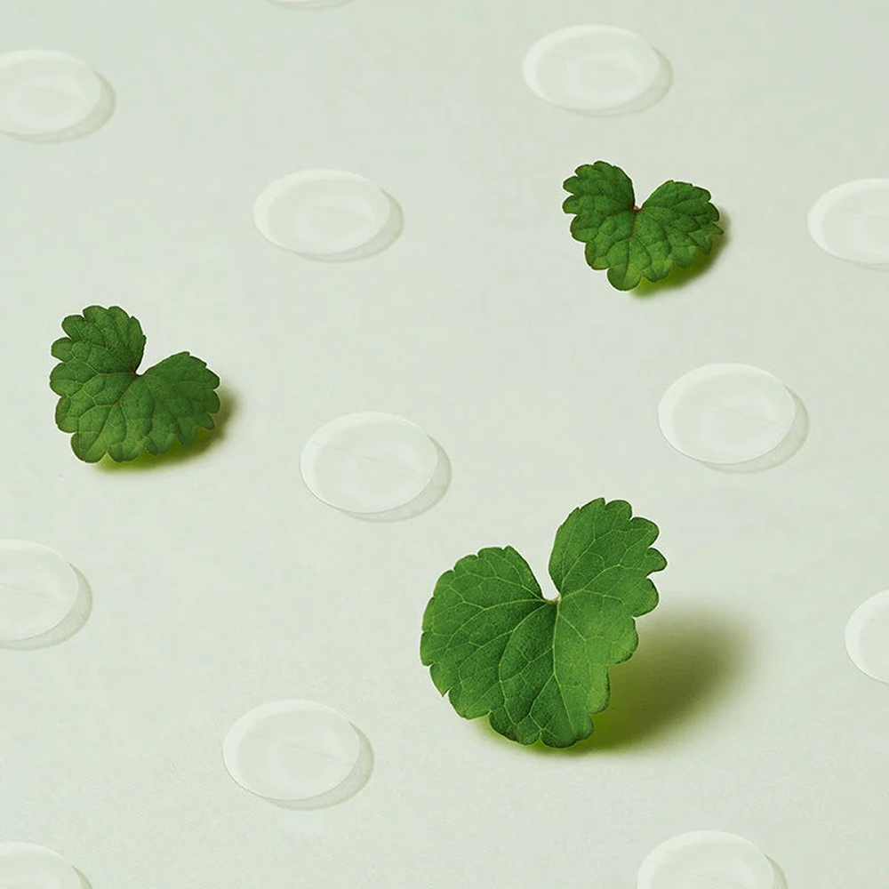 Purito Seoul Wonder Releaf Centella Spot Patch 51 Pieces-Pimple Patch-Beauty and hair supply